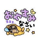 ぽにょちゃんの日常3（個別スタンプ：13）
