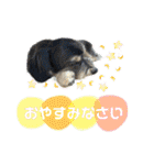 ぽにょちゃんの日常3（個別スタンプ：14）