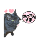 じゅじゅくんスタンプ2（個別スタンプ：6）