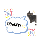 じゅじゅくんスタンプ2（個別スタンプ：16）