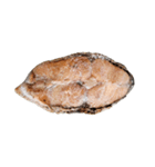 食品シリーズ : 冷凍魚ステーキ（個別スタンプ：1）