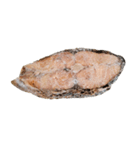 食品シリーズ : 冷凍魚ステーキ（個別スタンプ：6）