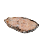 食品シリーズ : 冷凍魚ステーキ（個別スタンプ：8）