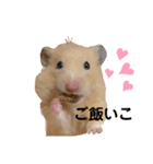 モヨシさん2（個別スタンプ：1）