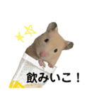 モヨシさん2（個別スタンプ：2）