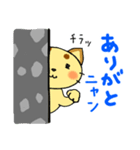 チラネコ（個別スタンプ：2）
