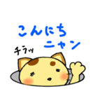 チラネコ（個別スタンプ：3）