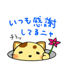 チラネコ（個別スタンプ：5）