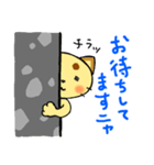 チラネコ（個別スタンプ：6）