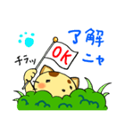 チラネコ（個別スタンプ：7）