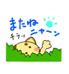 チラネコ（個別スタンプ：8）