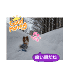 ぱぴぱぴパピヨン59（個別スタンプ：3）