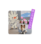 ぱぴぱぴパピヨン59（個別スタンプ：18）