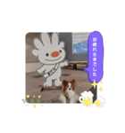 ぱぴぱぴパピヨン59（個別スタンプ：21）