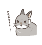 rabbit and...スタンプ（個別スタンプ：1）