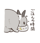 rabbit and...スタンプ（個別スタンプ：12）