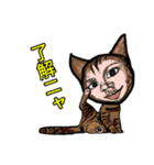 猫+メン＆うーメン（個別スタンプ：10）
