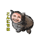 猫+メン＆うーメン（個別スタンプ：15）