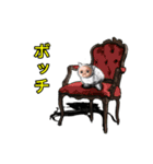猫+メン＆うーメン（個別スタンプ：18）