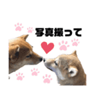H.こなつ（個別スタンプ：1）