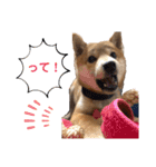 H.こなつ（個別スタンプ：6）