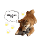 H.こなつ（個別スタンプ：8）