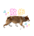 H.こなつ（個別スタンプ：12）