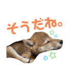 H.こなつ（個別スタンプ：16）