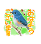 かわいい猫と小動物のほんわか癒しスタンプ（個別スタンプ：12）