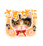 かわいい猫と小動物のほんわか癒しスタンプ（個別スタンプ：15）