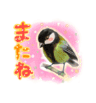 かわいい猫と小動物のほんわか癒しスタンプ（個別スタンプ：20）