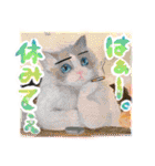 かわいい猫と小動物のほんわか癒しスタンプ（個別スタンプ：24）