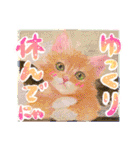 かわいい猫と小動物のほんわか癒しスタンプ（個別スタンプ：25）