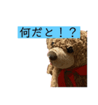 くまみのLINEスタンプ3。（個別スタンプ：36）