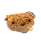 キツネのコンちゃんシリーズ（個別スタンプ：2）