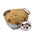 キツネのコンちゃんシリーズ（個別スタンプ：6）