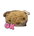 キツネのコンちゃんシリーズ（個別スタンプ：7）