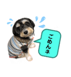 ぽにょちゃんの日常4（個別スタンプ：2）