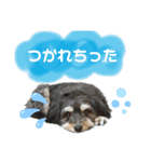 ぽにょちゃんの日常4（個別スタンプ：8）