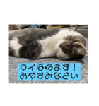 ロイ ラウ ルア レム（個別スタンプ：2）