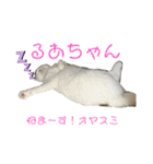 ロイ ラウ ルア レム（個別スタンプ：5）