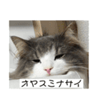 ロイ ラウ ルア レム（個別スタンプ：19）