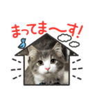 ロイ ラウ ルア レム（個別スタンプ：22）