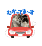 ロイ ラウ ルア レム（個別スタンプ：23）