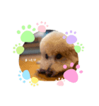 ポノちゃんスタンプその13（個別スタンプ：8）