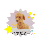 愛犬Duffy（個別スタンプ：4）