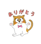 ねこすたんぷ〜日常〜（個別スタンプ：1）