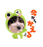 ☺︎るるスタンプ☺︎（個別スタンプ：3）