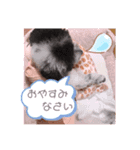 ☺︎るるスタンプ☺︎（個別スタンプ：8）