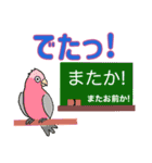 狩猟と鳥飼い界隈で流行りのスタンプその1（個別スタンプ：17）